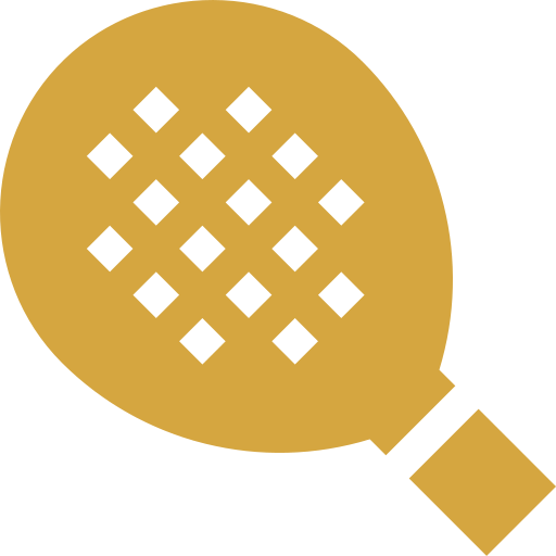 paddle-tennis-racket
